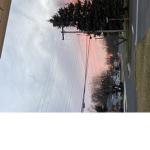 Penguins2020