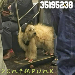 denimpunk