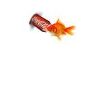 Fishies Studio