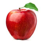 The apple group (aka ######### group)
