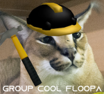 Group Cool Floopa