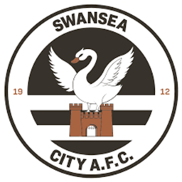 Swansea City AFC MPS Pitch