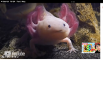 FATANDSKINNYUNICORN