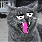 ki̴͈͕̫̥͋͒̾̎̉̆̚͝tty cà̴̗̘͕ṯ̸͆̄̽