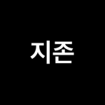 zizon 그룹