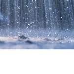 Winter Snow Team