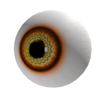 Eye Of Sun