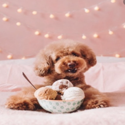 Cute Aesthetic Puppy! ~:)~ Roblox decal