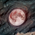 The Rotting Moon