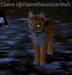 Kitty squad<33like meeeee