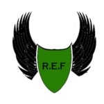 Roblox Enemie Fighters