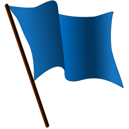 capture the flag