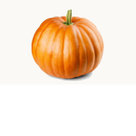 The Pumpkins Of The Patch.