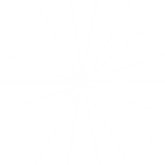 SunnySet Community