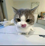 Ice Vvr