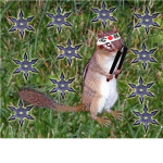 ninja chipmunks