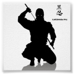 the legendary fire ninjas