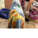 Theonlyfernanda