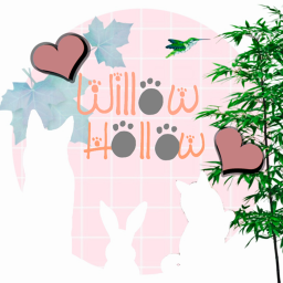 [IN WORK] Willow's Hallow