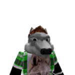 Lee Middle school Wolves