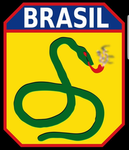 1ST DIVISION OF BRAZILIAN
