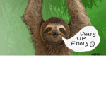 TheSlothss