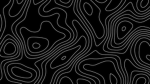 [LA] Development Team