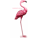 THE FLAMINGO'S UNITED!
