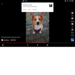 Love to the Heart from DogLov3r4
