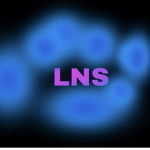 L.N.S-love never shown