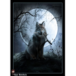 Midnight Wolves pack