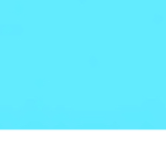 team blue is back