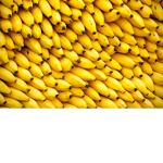 Banana cr3w