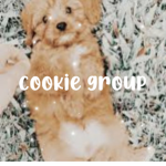 Cookieee groUp