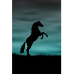 |~|Forest Side Riding Club|~|