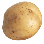 TEAM POTATO #P.A.C