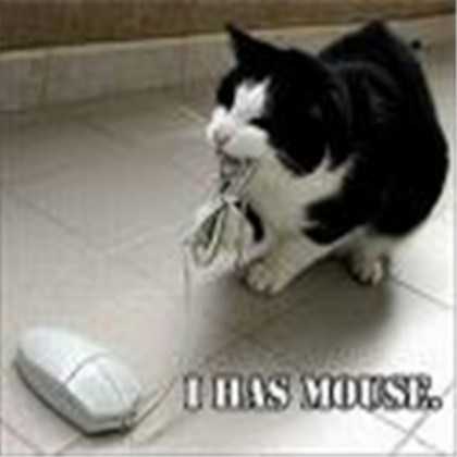 cat Roblox decal