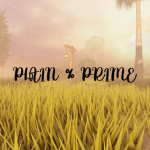 Plain & Prime