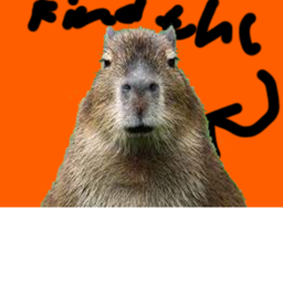 Find The Capybaras