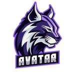 Avatar’s Clothing