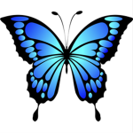 The flutter club