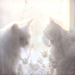 ✮⋆˙