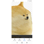 Doge is the conquer of Earth