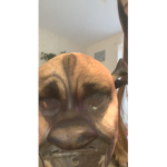 xqtemilydollar$