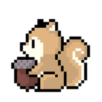 Squirrels clothing