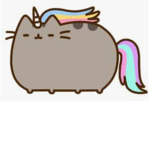 #Pusheen Cat