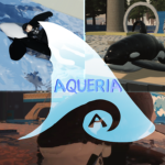 Aqueria Marine Park