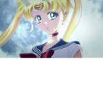 Sailor moon fan group for eveeer