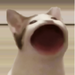 PopCat Incorprated