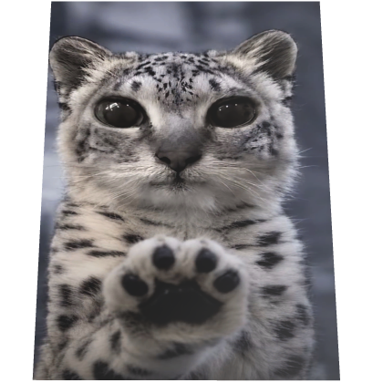 Snow Leopard MeiMei Cape